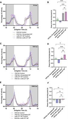 miR-277 regulates the phase of circadian activity-rest rhythm in Drosophila melanogaster